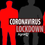 Coronavirus LOCKDOWN