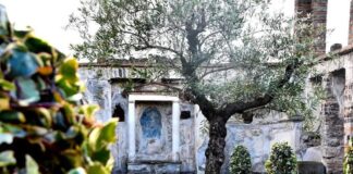 Pompei. Il martedì la Casa dell'Ancora