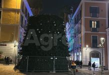 Albero di Natale, Salerno